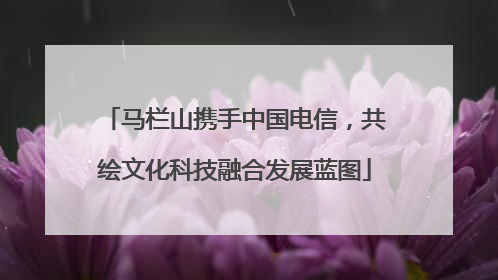马栏山携手中国电信，共绘文化科技融合发展蓝图