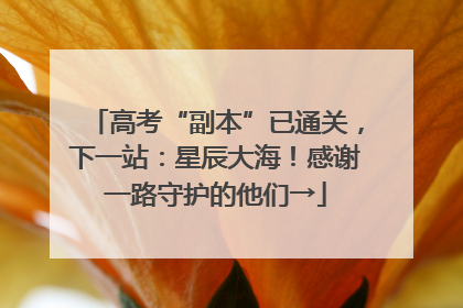 高考“副本”已通关，下一站：星辰大海！感谢一路守护的他们→
