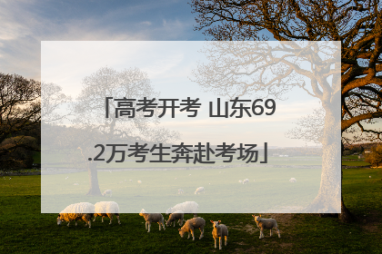 高考开考 山东69.2万考生奔赴考场