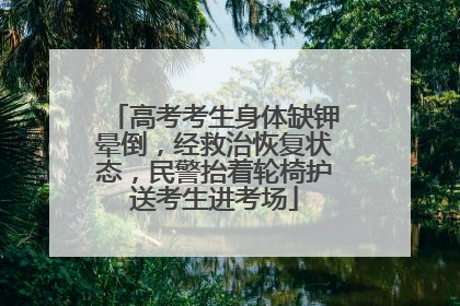高考考生身体缺钾晕倒，经救治恢复状态，民警抬着轮椅护送考生进考场
