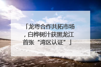 龙粤合作共拓市场，白桦树汁获黑龙江首张“湾区认证”