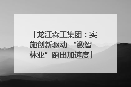 龙江森工集团：实施创新驱动 “数智林业”跑出加速度