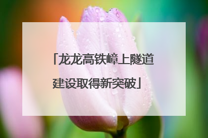 龙龙高铁嶂上隧道建设取得新突破