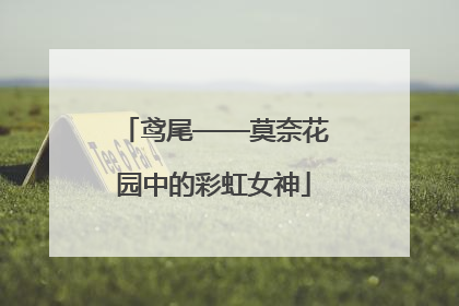 鸢尾——莫奈花园中的彩虹女神