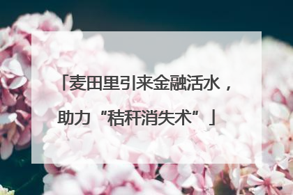 麦田里引来金融活水，助力“秸秆消失术”