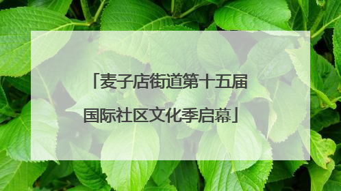 麦子店街道第十五届国际社区文化季启幕