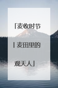 麦收时节丨麦田里的观天人