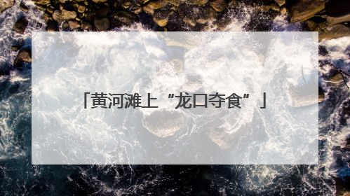黄河滩上“龙口夺食”
