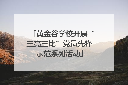 黄金谷学校开展“三亮三比”党员先锋示范系列活动