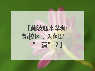黄陂迎来华师新校区，为何是“三赢”？