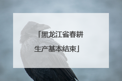黑龙江省春耕生产基本结束