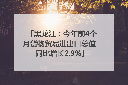 黑龙江：今年前4个月货物贸易进出口总值同比增长2.9%