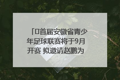 ﻿首届安徽省青少年足球联赛将于9月开赛 拟邀请赵鹏为先导赛开球