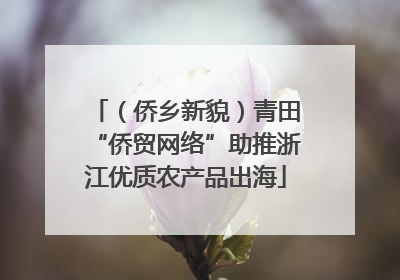 （侨乡新貌）青田“侨贸网络”助推浙江优质农产品出海