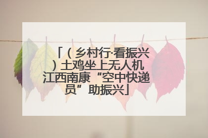 （乡村行·看振兴）土鸡坐上无人机 江西南康“空中快递员”助振兴