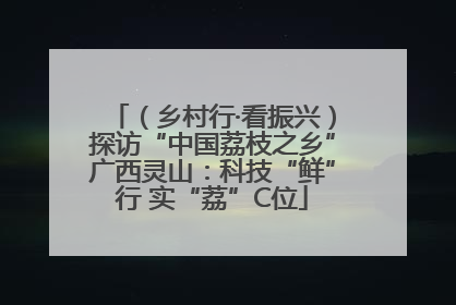 （乡村行·看振兴）探访“中国荔枝之乡”广西灵山：科技“鲜”行 实“荔”C位