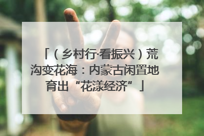 （乡村行·看振兴）荒沟变花海：内蒙古闲置地育出“花漾经济”