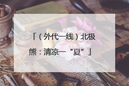（外代一线）北极熊：清凉一“夏”