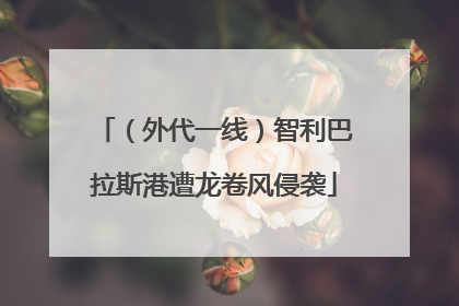 （外代一线）智利巴拉斯港遭龙卷风侵袭