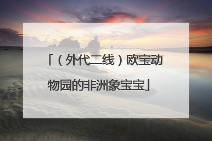 （外代二线）欧宝动物园的非洲象宝宝