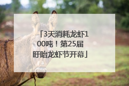 3天消耗龙虾100吨！第25届盱眙龙虾节开幕