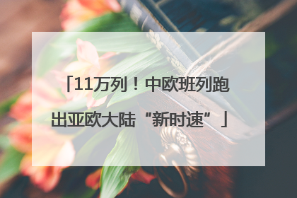 11万列！中欧班列跑出亚欧大陆“新时速”
