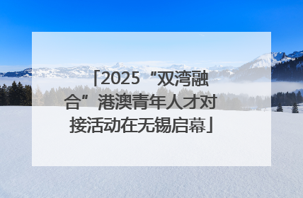 2025“双湾融合”港澳青年人才对接活动在无锡启幕