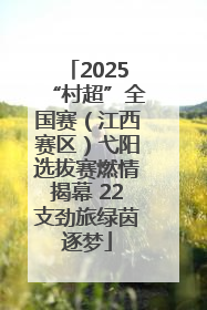 2025“村超”全国赛（江西赛区）弋阳选拔赛燃情揭幕 22支劲旅绿茵逐梦
