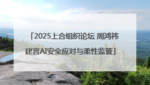 2025上合组织论坛 周鸿祎建言AI安全应对与柔性监管