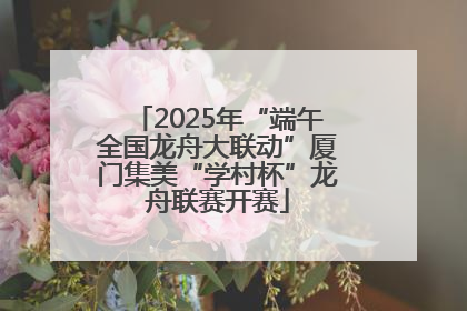 2025年“端午全国龙舟大联动”厦门集美“学村杯”龙舟联赛开赛