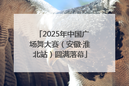 2025年中国广场舞大赛（安徽·淮北站）圆满落幕