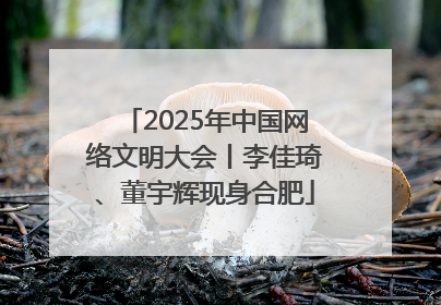 2025年中国网络文明大会丨李佳琦、董宇辉现身合肥
