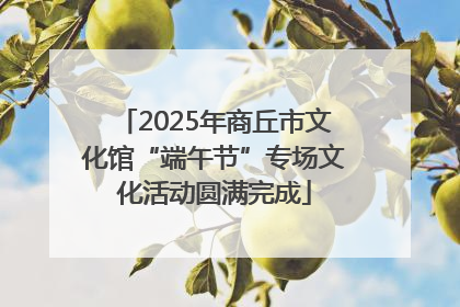 2025年商丘市文化馆“端午节”专场文化活动圆满完成