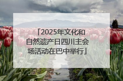 2025年文化和自然遗产日四川主会场活动在巴中举行