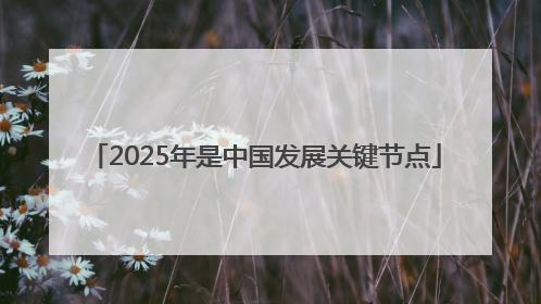 2025年是中国发展关键节点