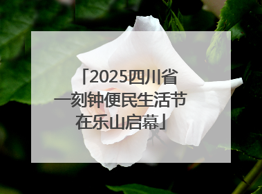 2025四川省一刻钟便民生活节在乐山启幕