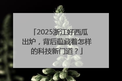 2025浙江好西瓜出炉，背后蕴藏着怎样的科技新门道？