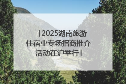 2025湖南旅游住宿业专场招商推介活动在沪举行