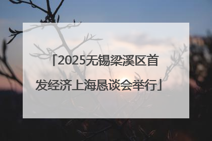2025无锡梁溪区首发经济上海恳谈会举行