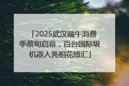 2025武汉端午消费季蔡甸启幕，百台国际级机器人亮相花博汇