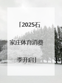 2025石家庄体育消费季开启