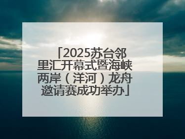 2025苏台邻里汇开幕式暨海峡两岸（洋河）龙舟邀请赛成功举办