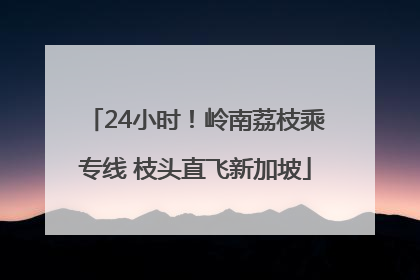 24小时！岭南荔枝乘专线 枝头直飞新加坡