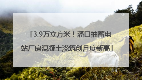 3.9万立方米！潘口抽蓄电站厂房混凝土浇筑创月度新高