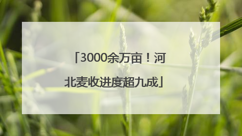 3000余万亩！河北麦收进度超九成