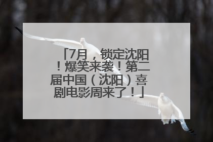 7月，锁定沈阳！爆笑来袭！第二届中国（沈阳）喜剧电影周来了！