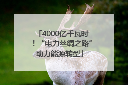 4000亿千瓦时！“电力丝绸之路”助力能源转型