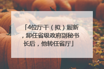 4位厅干（拟）履新，卸任省级政府副秘书长后，他转任省厅
