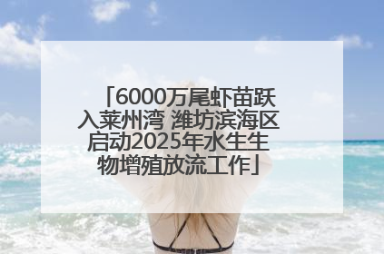 6000万尾虾苗跃入莱州湾 潍坊滨海区启动2025年水生生物增殖放流工作