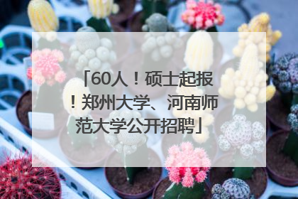 60人！硕士起报！郑州大学、河南师范大学公开招聘